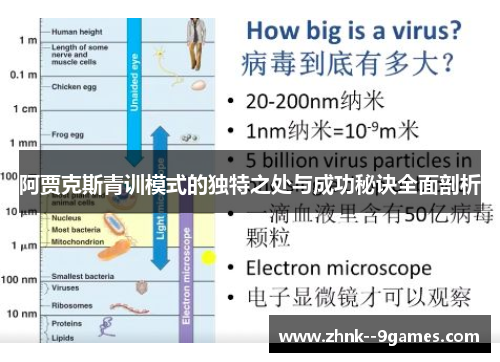 阿贾克斯青训模式的独特之处与成功秘诀全面剖析